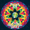 The Polyversal Souls - Sad Nile
