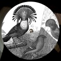 Anna Lunoe、Flume - I Met You