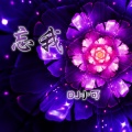 苏可可 - 嗨摇车载