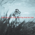 Rednex - Old Pop In An Oak (Old Pop And An Oak)(Complete version originally performed by Rednex)