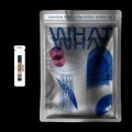 트루먼、백식 (Baeksik)、YoungWon - What?