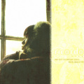 Rita - rosa morada