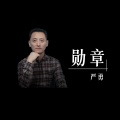 严勇 - 勋章