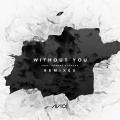 E8r - Avicii-Without You (E8r remix)