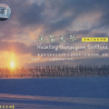 群星 - 来自爱尔兰的女人