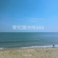 迪迪、扬科YANGK - 张信哲 - 爱如潮水remix