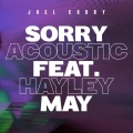 Sorry (feat. Hayley May)(Acoustic)