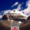 Throbbing Gristle - Rabbit Snare