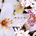 许景淳 - 油桐花