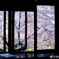林墨 - 有你の快乐「黄其淋(林墨)」
