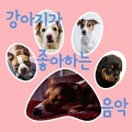 강아지가 좋아하는 음악 - 날 위한 위로