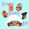 강아지가 좋아하는 음악 - 너의 마음에