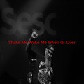 The Four Tops - Shake Me, Wake Me (When It's Over)(Complete version originally performed by The Four Tops)