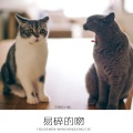 王恒东、7姐 - 从别后 (DJ版)