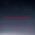 Steely Dan - Rikki Don't Lose That Number (Complete version originally performed by Steely Dan)