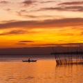 Active Nature: 25 Tropical Beats for Power Mornings