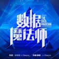J-Sleeper性感的拖鞋 - 数据魔法师