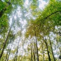 张鹤龄 - 送别