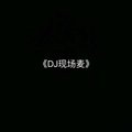 尊皇 - 错过了缘分错过了你