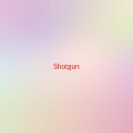 Various Artists - Shotgun