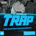 Flosstradamus、DJ Sliink - Crowd Ctrl