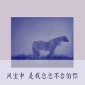 陈大宽 - 不找了