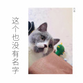 若愚 - 探清水河