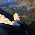 顺流 - 再见吧喵小姐