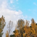 Yamila桑 - 写给社交恐惧症的一首歌
