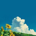 杪夏sumika、熊太kuma - ひまわりの約束 -acoustic ver.-
