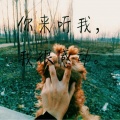 张慧宇 - 老婆 (CoverS.H.E.)