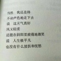 野鹤Wild Crane - 他