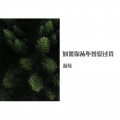 蓝莓 - 如果你从不曾爱过我