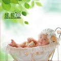 儿童歌曲 - 小花的催眠曲