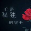 洛少爷、封茗囧菌 - 心是孤独的猎手