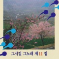 그시절 그노래 제11집