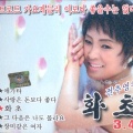 전추영 - 화초