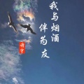 诗宇 - 我与烟酒伴为友