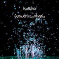 Kasino - Missione