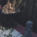 MALBECC - DON'T CRY (Explicit)