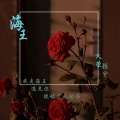 顾兮、久荣 - 海王