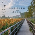 祁闻冥轩 - 房间 (DJ版)
