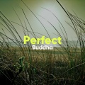 Yoga Ambience、Calming Music Academy - Lotus