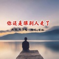 莫烟 - 你还是跟别人走了