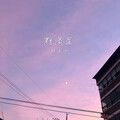 林玉冰 - 黯淡星