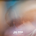 Joel Adams - A Big World
