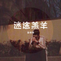 麻泰强 - 迷途羔羊