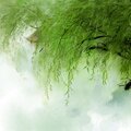 @小黎黎 - 梦江南