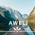 Vehbi İnegöl、Elsen Pro - Awelı