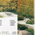 双电子琴 - 南都夜曲